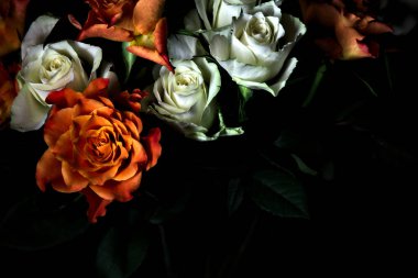 Siyah arka planda turuncu ve beyaz güller.