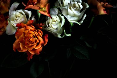 Siyah arka planda turuncu ve beyaz güller.