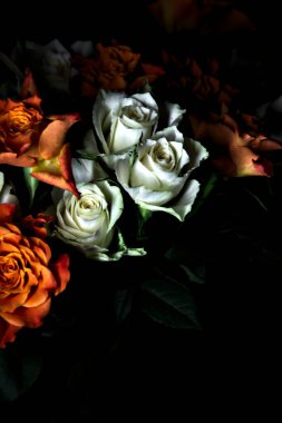 Siyah arka planda turuncu ve beyaz güller.