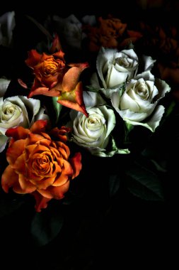 Siyah arka planda turuncu ve beyaz güller.