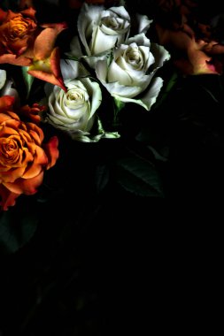 Siyah arka planda turuncu ve beyaz güller.