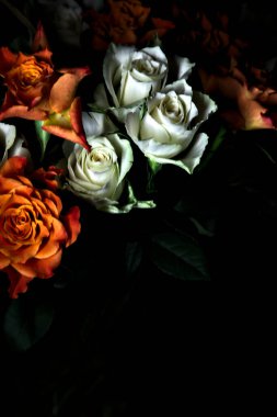 Siyah arka planda turuncu ve beyaz güller.