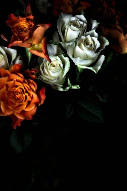 Siyah arka planda turuncu ve beyaz güller.