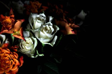 Siyah arka planda turuncu ve beyaz güller.