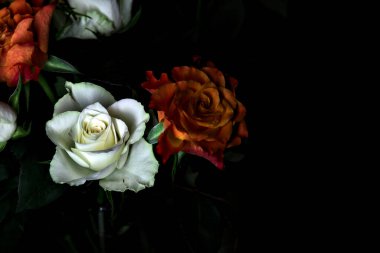 Siyah arka planda turuncu ve beyaz güller.