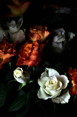 Siyah arka planda turuncu ve beyaz güller.
