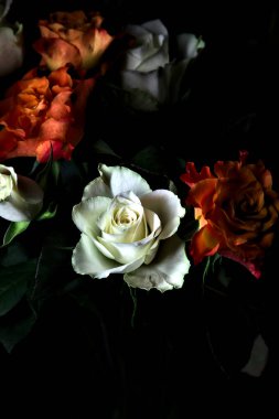 Siyah arka planda turuncu ve beyaz güller.