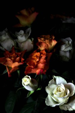 Siyah arka planda turuncu ve beyaz güller.