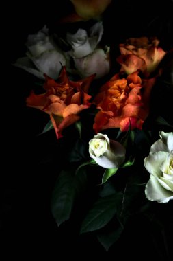 Siyah arka planda turuncu ve beyaz güller.