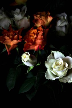 Siyah arka planda turuncu ve beyaz güller.