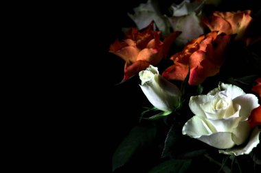 Siyah arka planda turuncu ve beyaz güller.