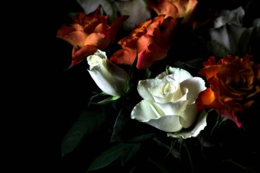 Siyah arka planda turuncu ve beyaz güller.