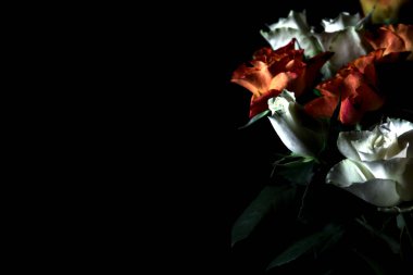 Siyah arka planda turuncu ve beyaz güller.