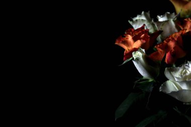 Siyah arka planda turuncu ve beyaz güller.