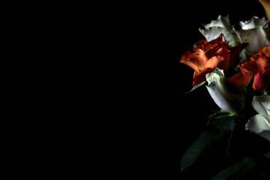 Siyah arka planda turuncu ve beyaz güller.