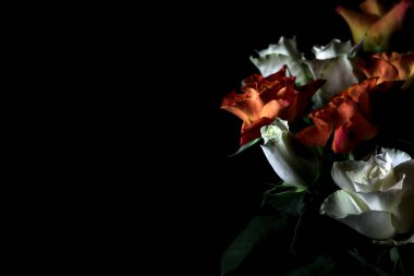 Siyah arka planda turuncu ve beyaz güller.