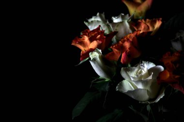 Siyah arka planda turuncu ve beyaz güller.