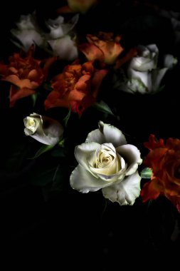 Siyah arka planda turuncu ve beyaz güller.