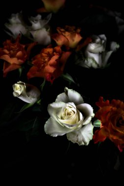 Siyah arka planda turuncu ve beyaz güller.