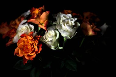 Siyah arka planda turuncu ve beyaz güller.