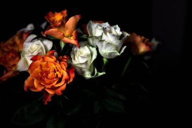 Siyah arka planda turuncu ve beyaz güller.