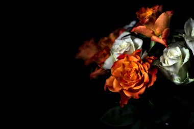 Siyah arka planda turuncu ve beyaz güller.