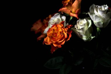 Siyah arka planda turuncu ve beyaz güller.