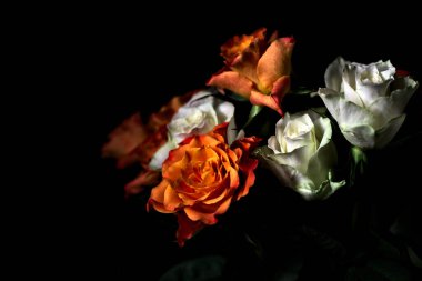 Siyah arka planda turuncu ve beyaz güller.