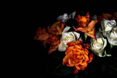 Siyah arka planda turuncu ve beyaz güller.