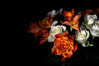 Siyah arka planda turuncu ve beyaz güller.