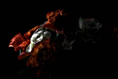 Siyah arka planda turuncu ve beyaz güller.