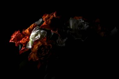 Siyah arka planda turuncu ve beyaz güller.