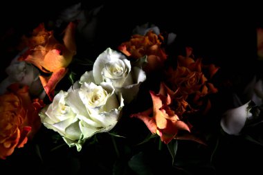 Siyah arka planda turuncu ve beyaz güller.