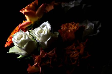 Siyah arka planda turuncu ve beyaz güller.