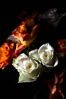 Siyah arka planda turuncu ve beyaz güller.