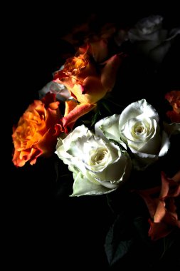 Siyah arka planda turuncu ve beyaz güller.