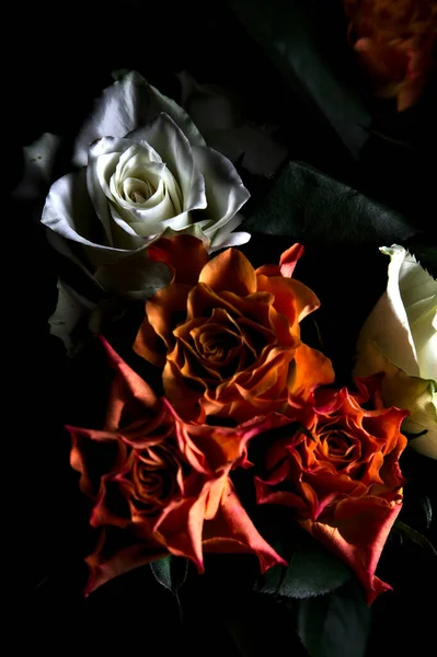 Siyah arka planda turuncu ve beyaz güller.