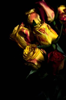 Bir buket turuncu çizgili sarı güller ve siyah arka planda kırmızı güller.