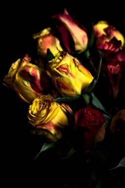 Bir buket turuncu çizgili sarı güller ve siyah arka planda kırmızı güller.