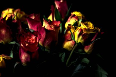 Bir buket turuncu çizgili sarı güller ve siyah arka planda kırmızı güller.