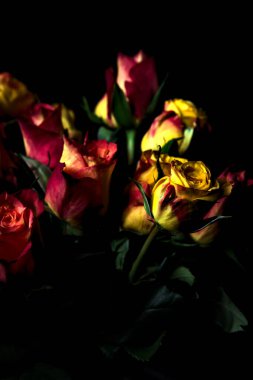 Bir buket turuncu çizgili sarı güller ve siyah arka planda kırmızı güller.