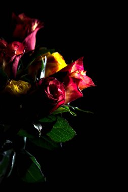 Bir buket turuncu çizgili sarı güller ve siyah arka planda kırmızı güller.