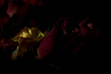 Bir buket turuncu çizgili sarı güller ve siyah arka planda kırmızı güller.