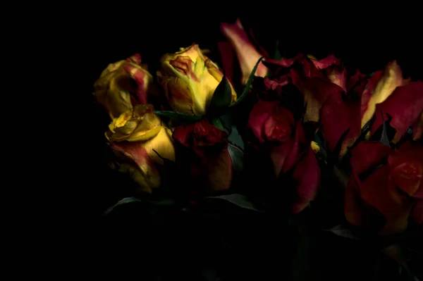 Bouquet Rose Gialle Striate Arancioni Rose Rosse Sfondo Nero — Foto Stock