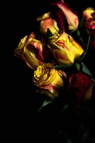 Buquê Rosas Amarelas Listradas Laranja Rosas Vermelhas Fundo Preto — Fotografia de Stock