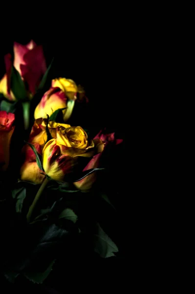 Bouquet Roses Jaunes Striées Orange Roses Rouges Sur Fond Noir — Photo