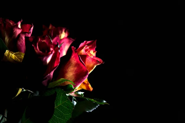 Narancssárga Csíkos Sárga Rózsa Vörös Rózsa Csokor Fekete Háttérrel — Stock Fotó