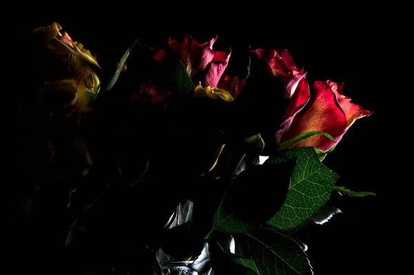 Strauß Orange Gestreifter Gelber Rosen Und Roter Rosen Vor Schwarzem — Stockfoto