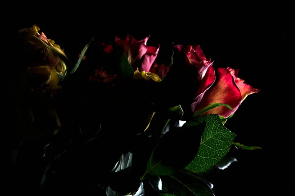 Букет Помаранчевих Смугастих Жовтих Троянд Червоних Троянд Чорному Тлі — стокове фото