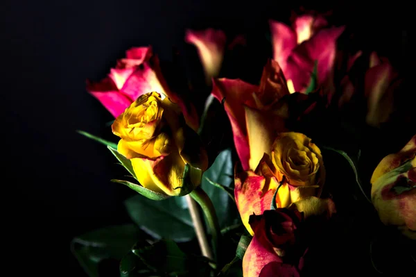 Ramo Rosas Amarillas Rayadas Color Naranja Rosas Rojas Sobre Fondo — Foto de Stock